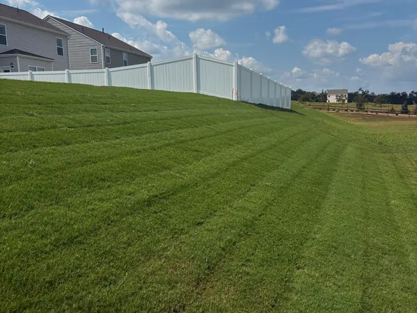 A side lawn cut in long stripes beside a white privacy fence.