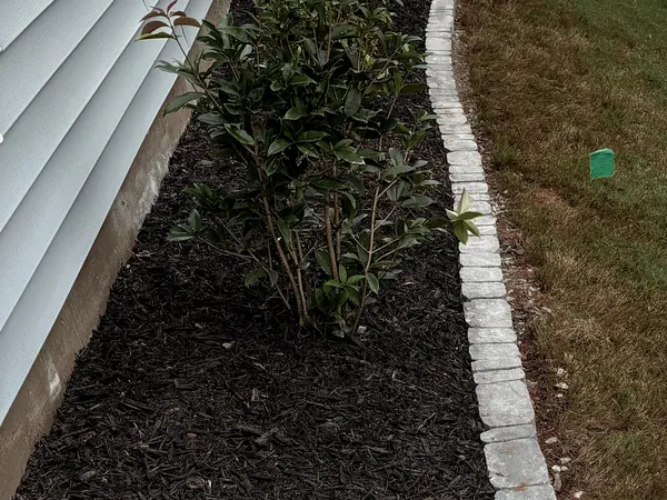 A fresh mulch bed edged in stone pavers with new shrubs along the siding.