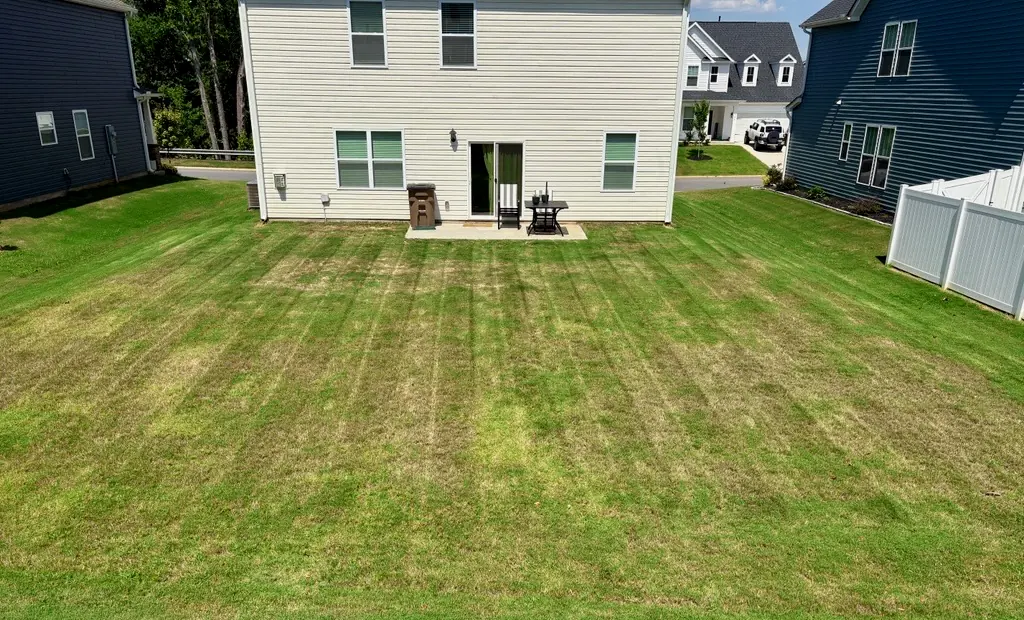 A backyard lawn cut in clean parallel stripes running back toward the house.